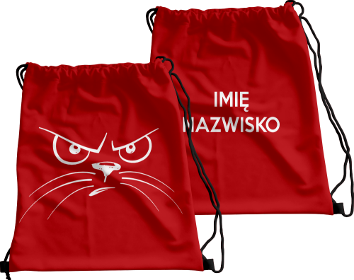 Wizualizacja.png