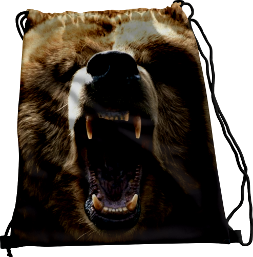 Wizualizacja.png