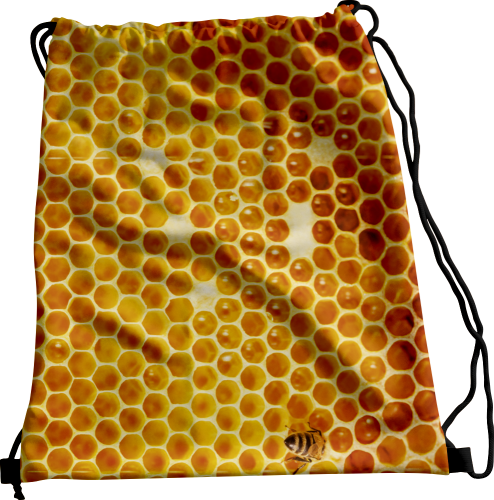 Wizualizacja.png