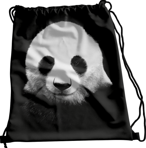 Wizualizacja.png