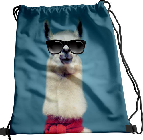 Wizualizacja.png
