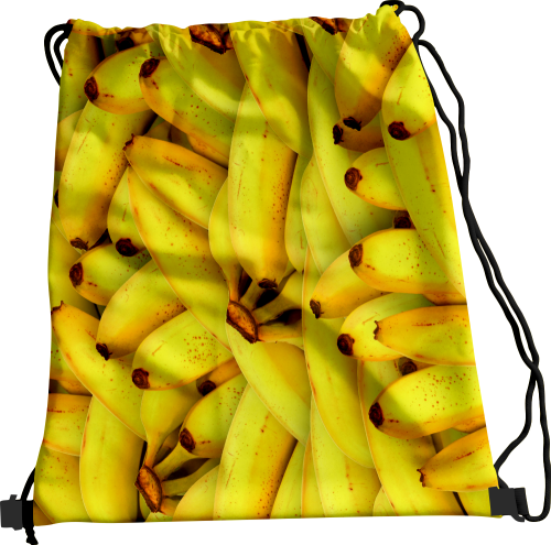 Wizualizacja.png