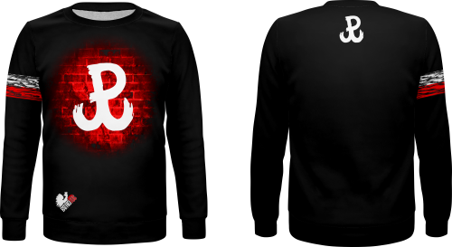 BLUZA PATRIOTYCZNA BASIC.png