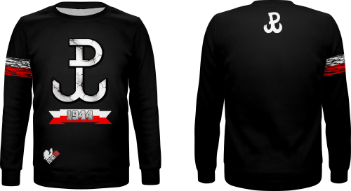 BLUZA PATRIOTYCZNA BASIC.png