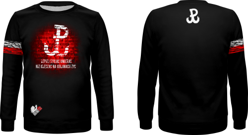 BLUZA PATRIOTYCZNA BASIC.png