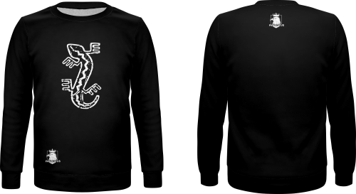 bluza basic.png