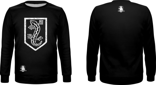 bluza basic.png