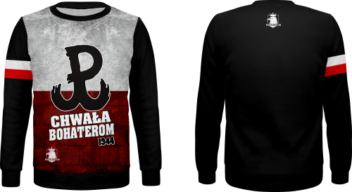 bluza basic.png