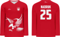 bluza hokejowa.png