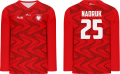 bluza hokejowa.png